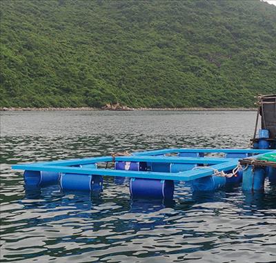 Khánh Hòa: Hạ thủy thành công khung lồng nuôi thủy sản thử nghiệm bằng vật liệu FRP