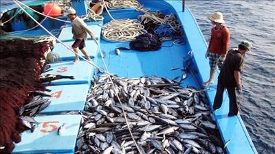 Kế hoạch hành động khai thác hải sản bền vững
