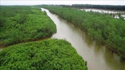 Thành lập khu bảo tồn thiên nhiên đất ngập nước Thái Thụy, Thái Bình