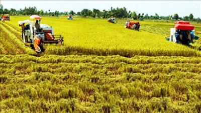 Nâng cao hiệu quả kinh tế tập thể hướng tới nông nghiệp sinh thái, nông thôn hiện đại