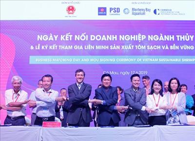 Doanh nghiệp quốc tế bắt tay sản xuất tôm sạch ở Việt Nam