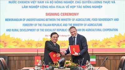 Việt Nam và Italy hợp tác phát triển nông nghiệp