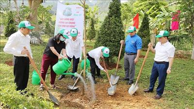 Lào Cai hướng đến phát triển kinh tế xanh và bảo vệ môi trường