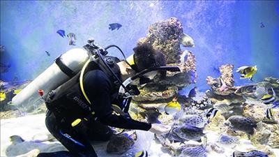 UNESCO bảo tồn đa dạng sinh học biển qua nghiên cứu DNA môi trường