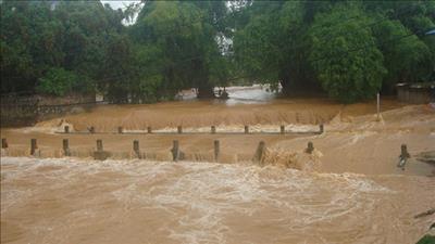 Chủ động ứng phó với lũ lụt, sạt lở đất, giảm thiểu thiệt hại về người