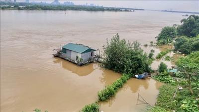 Hà Nội: Báo động lũ trên các sông do mưa lớn kéo dài