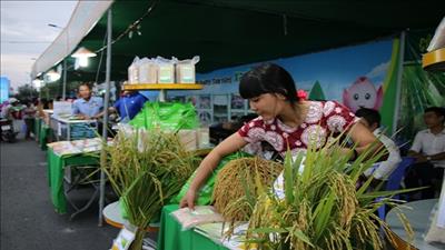 Vĩnh Long tổ chức Festival lúa gạo Việt Nam lần thứ V