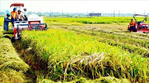 Bảo đảm an ninh lương thực cho dân cư Hà Nội