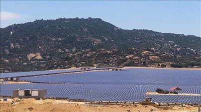 Nhà máy điện mặt trời giải tỏa công suất: Thời gian đầu tư dự án bằng 1/4 lưới truyền tải điện