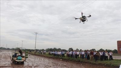 Hà Nội đẩy mạnh ứng dụng công nghệ 4.0 trong sản xuất nông nghiệp