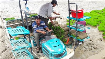 Bình Thuận: Phát triển ngành nông nghiệp hiện đại, bền vững