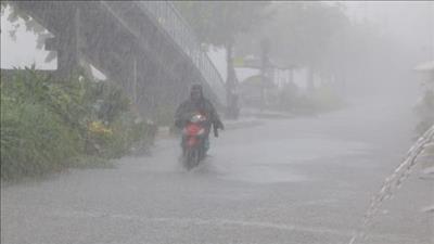 Cảnh báo mưa to, sóng lớn do áp thấp nhiệt đới