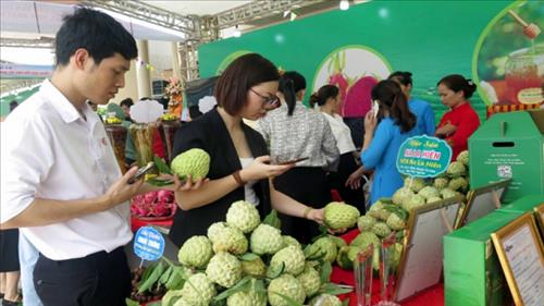 Kết nối tiêu thụ sản phẩm na và nông sản tỉnh Thái Nguyên 2022