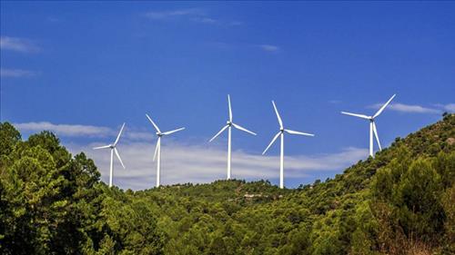 Đầu tư xanh từ khu vực tư nhân tại Việt Nam đạt 161 triệu USD vào năm 2024