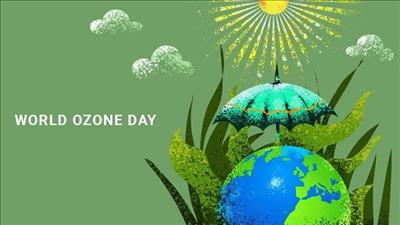 Tổ chức hoạt động hưởng ứng Ngày quốc tế Bảo vệ tầng ozon
