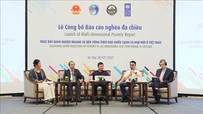 Thúc đẩy giảm nghèo nhanh và bền vững ở Việt Nam