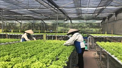  Quảng Ninh cần phát triển ngành nông nghiệp tích hợp đa giá trị