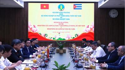 Xúc tiến phát triển hơn nữa hợp tác nông nghiệp giữa Việt Nam và Cuba