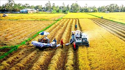 Phát triển nông nghiệp, nông thôn bền vững vùng đồng bằng sông Cửu Long