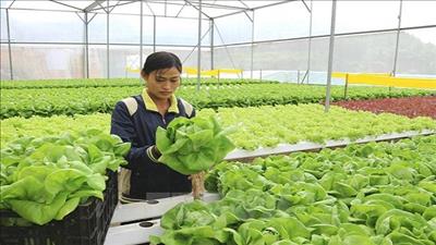 Đẩy mạnh hợp tác phát triển nông nghiệp Việt Nam – Hàn Quốc