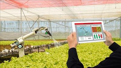 Ứng dụng công nghệ 5.0 trong phát triển nông nghiệp Việt Nam
