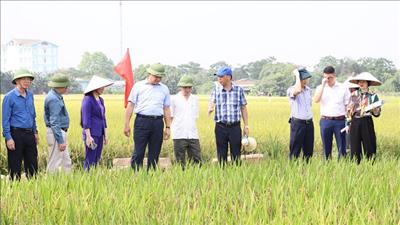 Hợp tác phát triển ngành nông nghiệp Hà Nội