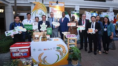 Trao đổi hợp tác quốc tế trong phát triển nông nghiệp Việt Nam tiên tiến