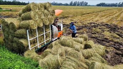 Đắk Nông phát triển khoa học công nghệ thúc đẩy nông nghiệp tuần hoàn