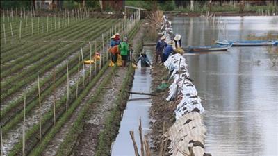 Bình Định: Phát triển hạ tầng nông nghiệp gắn với phòng chống thiên tai