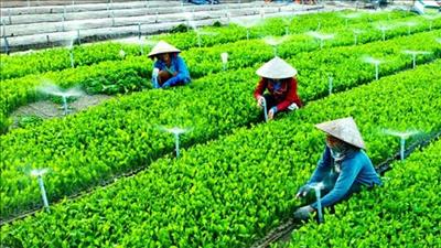 Ngành nông nghiệp hướng tới hợp tác phát triển xanh, bền vững