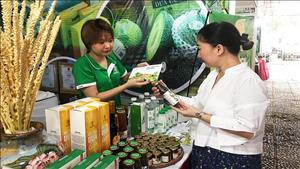Kết nối nông sản thực phẩm an toàn cung ứng cho các chợ tại Hà Nội