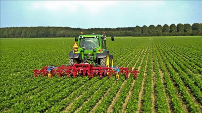 Chú trọng phát triển ngành nghề nông nghiệp, nông thôn theo hướng bền vững