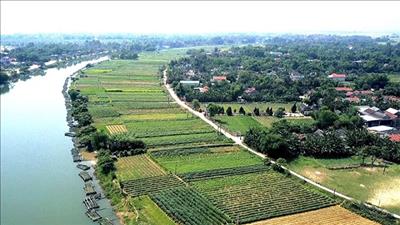 Thừa Thiên - Huế thực hiện cơ cấu lại ngành nông nghiệp theo hướng bền vững