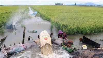 Việt Nam và HĐBA thống nhất chung về vấn đề ứng phó mực nước biển dâng