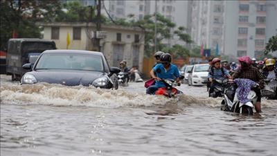 Tăng cường hành động thích ứng trước tình trạng nước biển dâng