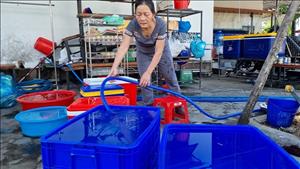 Quảng Nam chuẩn bị các giải pháp ứng phó với nắng nóng, thiếu nước sinh hoạt