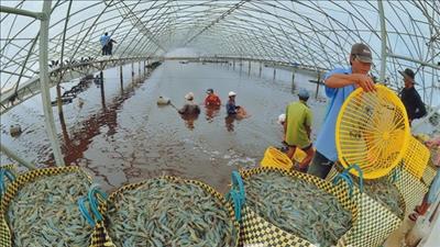 Chương trình quốc gia Phát triển nuôi trồng thủy sản đến năm 2030