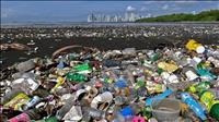 WWF kêu gọi giải quyết ô nhiễm nhựa toàn cầu trước Ngày Môi trường thế giới
