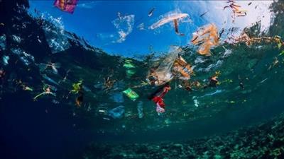 Chuẩn bị tham gia xây dựng Thỏa thuận toàn cầu về ô nhiễm nhựa đại dương