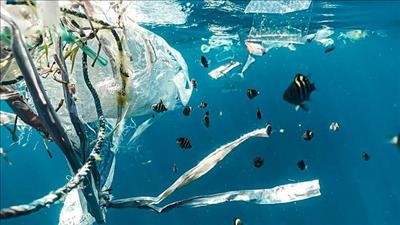 Phát động giải báo chí “Giảm ô nhiễm nhựa đại dương” lần 2