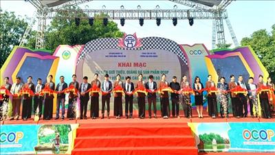 Giới thiệu sản phẩm OCOP gắn với văn hóa Nam Bộ tại Hà Nội