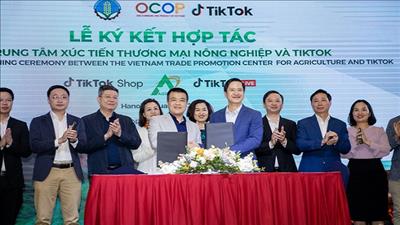 Tích cực quảng bá sản phẩm OCOP trên nền tảng TikTok