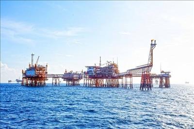 Petrovietnam đã hoàn thành chỉ tiêu 7,99 triệu tấn dầu trước 42 ngày