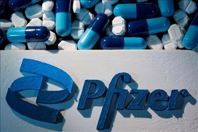 Pfizer đã ký thỏa thuận cấp phép cho các công ty dược phẩm được sản xuất thuốc kháng virus SARS-CoV-2