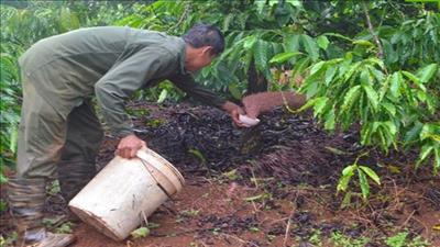 Gia Lai: Ứng dụng công nghệ để thúc đẩy kinh tế tuần hoàn trong nông nghiệp