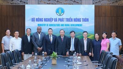 FAO hỗ trợ, hợp tác phát triển bền vững ngành chăn nuôi Việt Nam