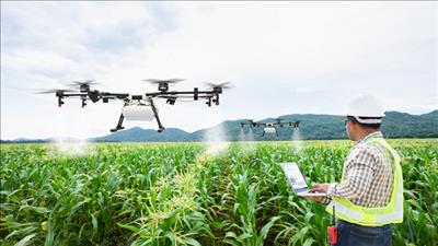 Khảo nghiệm ứng dụng thiết bị bay không người lái trong nông nghiệp