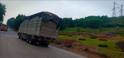 Thanh Hóa: Xe quá tải chở vật liệu xây dựng ngang nhiên chạy qua khu đông dân cư