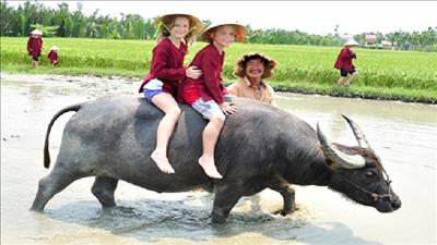 Thái Bình kết hợp du lịch với phát triển nông nghiệp, nông thôn