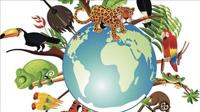 Kế hoạch tổ chức Ngày Quốc tế đa dạng sinh học 2023